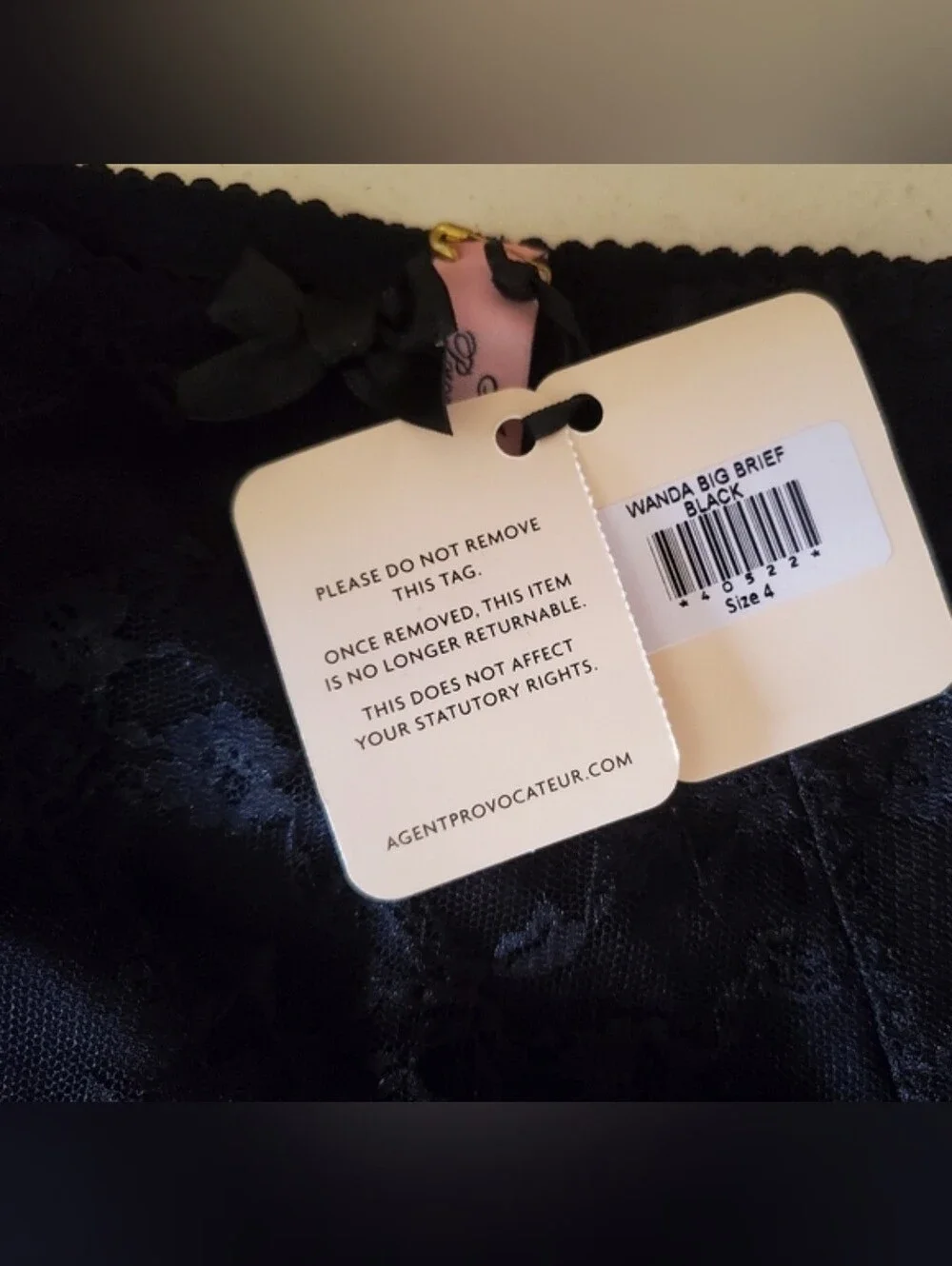 Wanda Big Brief by Agent Provocateur Size 4 (L)